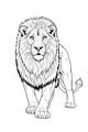 The Lion with the Fluffy Mane