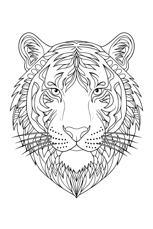 Tiger King with Stripy Whiskers