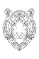 Tiger King with Stripy Whiskers