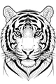 Tiger Whiskers and Mighty Stripes