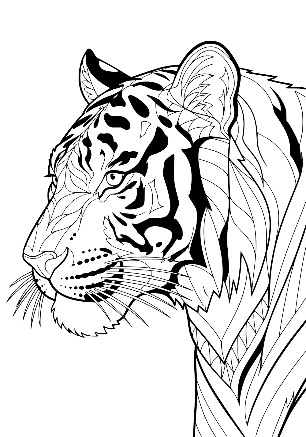 Tiger walking forward with bold curved stripes, pointed ears, long tail curled at the end, and alert expression.