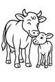 Nuzzle Time for Mama Cow and Calf