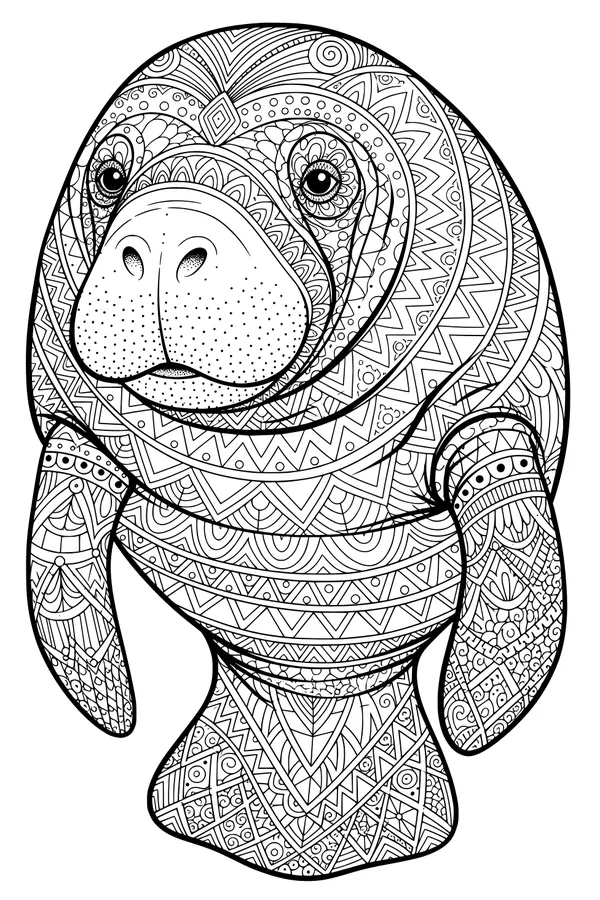 Manatee with Magical Patterns