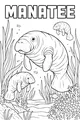 Gentle Giants Underwater Picnic