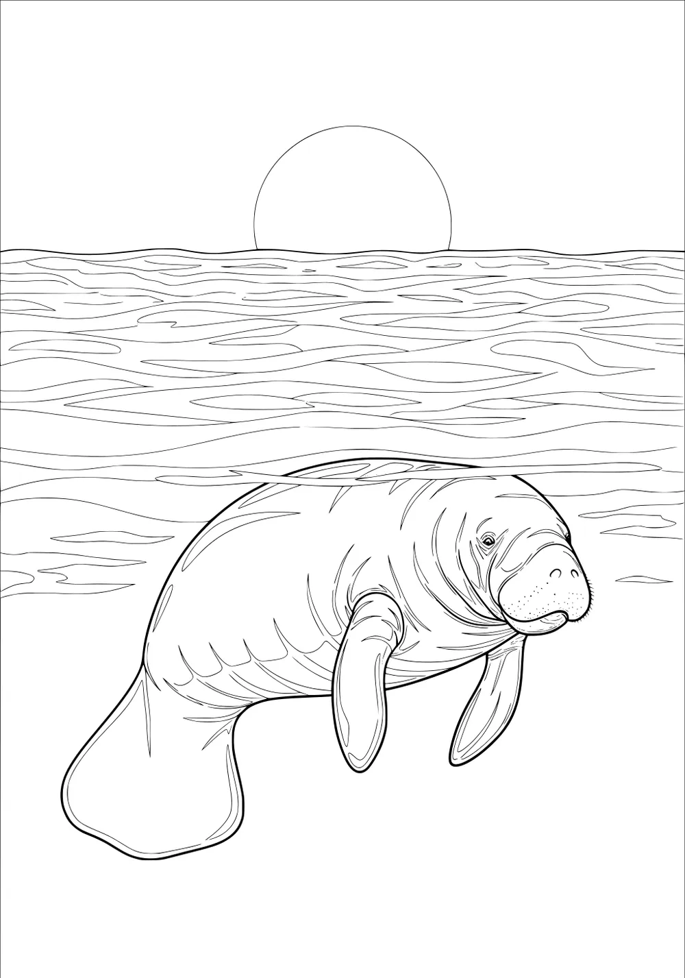 Manatee floating in water with sun setting on the horizon.