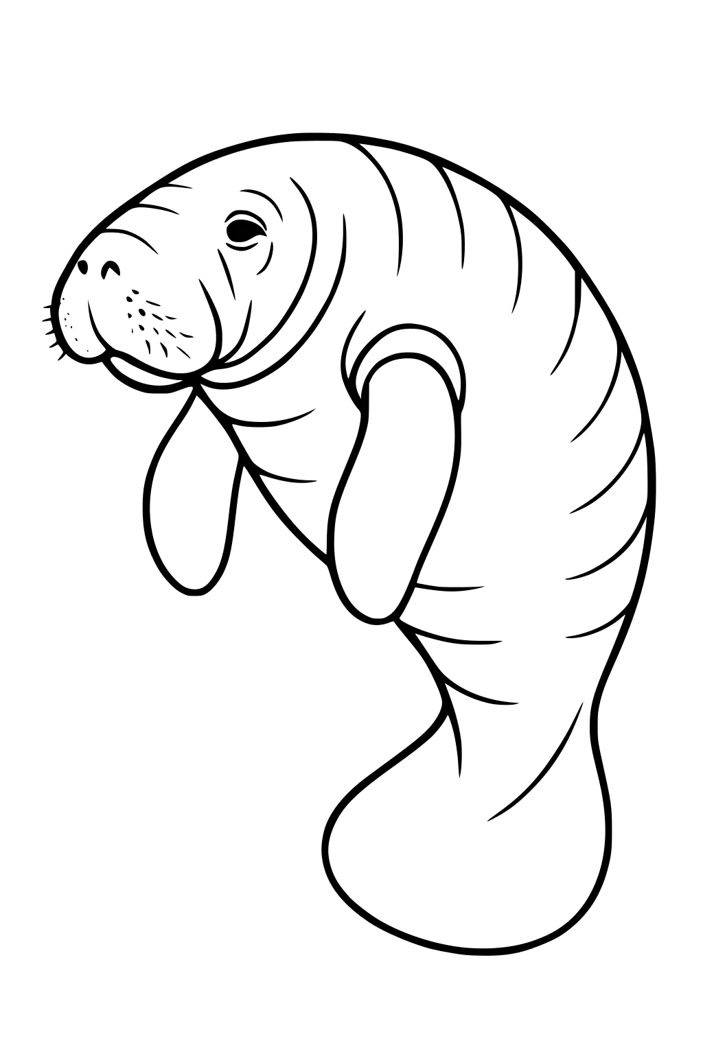 Manatee with two flippers, a round body, and a wrinkled tail, floating upright with a calm expression.