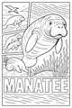 Gentle Giants of the River