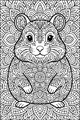 Whiskers and Mandalas Mix-Up