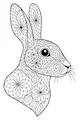 Whiskers and Whorls: The Patterned Hare