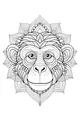Monkey’s Magical Mane Maze
