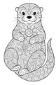 The Flowery Whiskers Otter