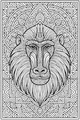 King of the Wild Patterns