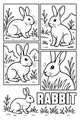 Bunny Friends in the Garden Grass