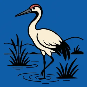 Cranes coloring page category