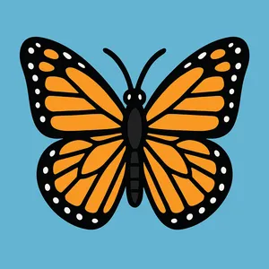 Butterflies coloring page category