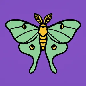 Moths coloring page category