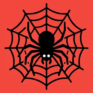 Spiders