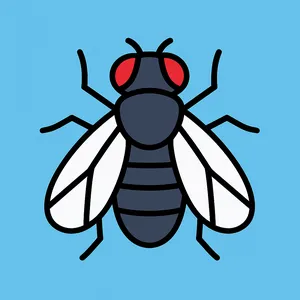 Flies coloring page category