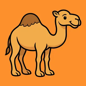 Camels