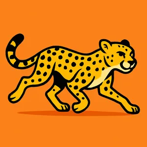 Cheetahs