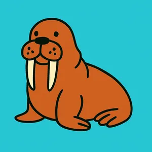 Walruses