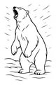 Big Bear Roar on the Snowy Ice