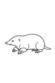 Mole With Marvelous Digging Claws