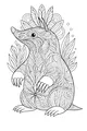 Molly the Mole with Swirly Patterns