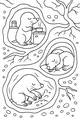 Busy Day in Mole’s Cozy Burrow