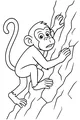Little Monkey Climbing the Big Tree