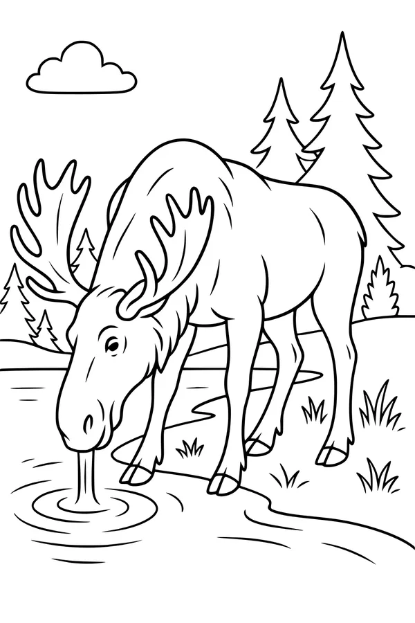 Moose Sips at the Forest Pond