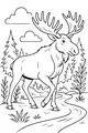 Moose Takes a Sunny Forest Stroll