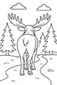 Moose on the Forest Trail