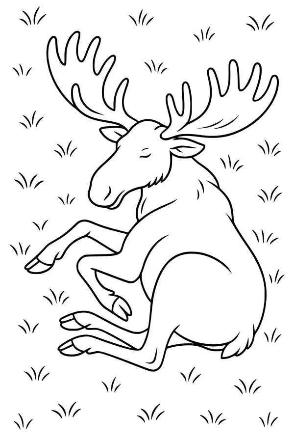 Moose Naps in the Sunny Meadow