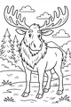 Moose with Marvelous Antlers in the Pines