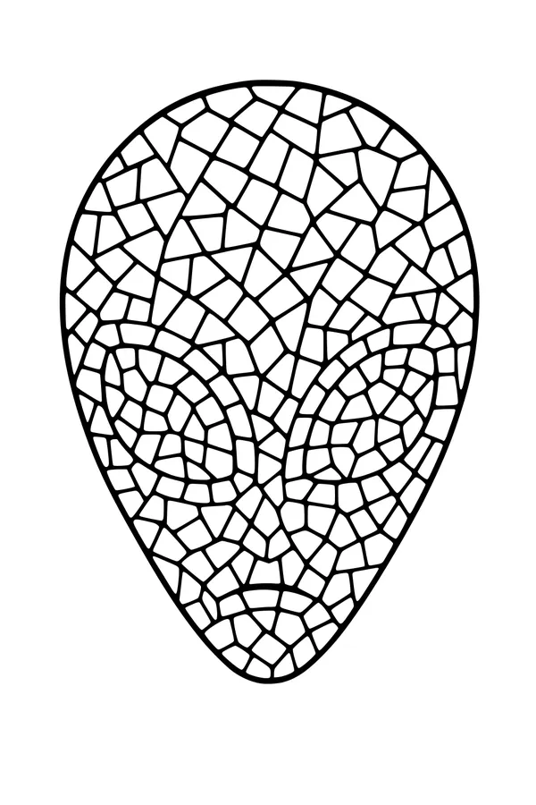 Mosaic Visitor From the Stars