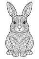Bright-Eyed Rabbit With Magic Patterns