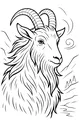Mountain Goat With Curly Horns