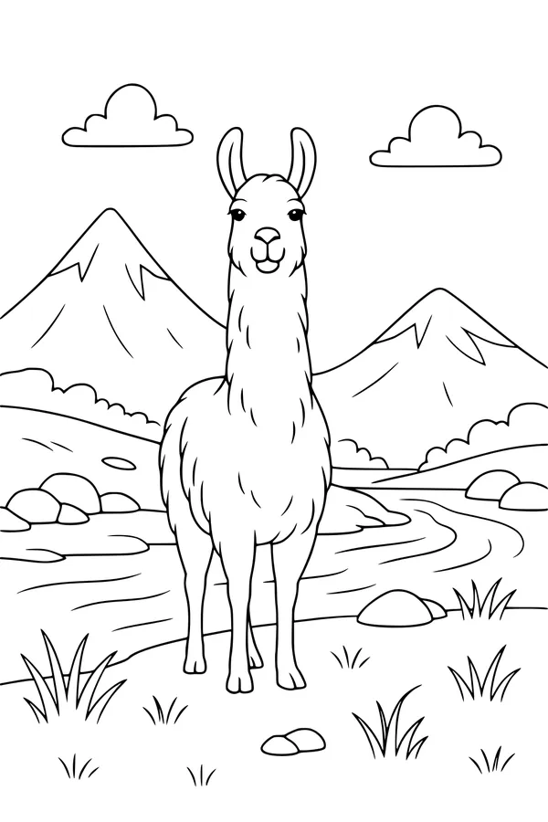 Llama Smiles in the Mountain Valley
