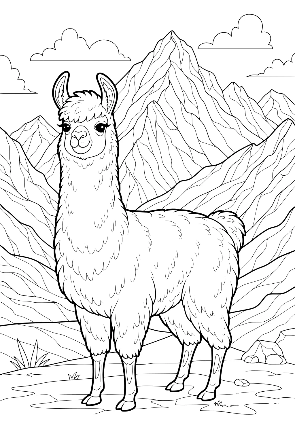 Llama with fluffy fur standing in front of mountains and clouds, with grass and rocky ground in the foreground.