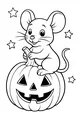 Pumpkin Patch Mouse and Starry Night