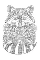 Raccoon With Wild, Whirly Patterns