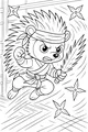 Ninja Hedgehog’s Spiky Showdown