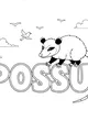 Ollie Opossum Watches the Morning Birds