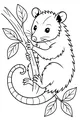 Opossum Clings to a Wiggly Branch