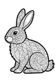 Swirly-Eared Rabbit in the Meadow