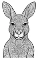 Milo the Fancy-Eared Kangaroo