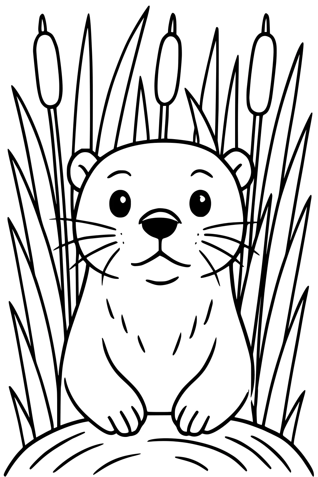 Otter with round eyes and whiskers sitting on a rock among long grass and three cattails.