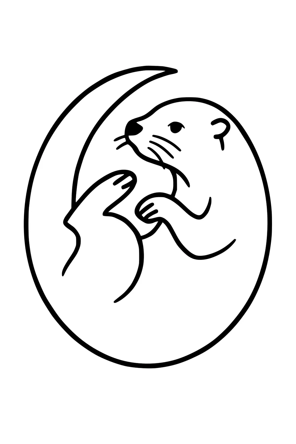 Line drawing of a curled otter in a circle, with face, paws, and tail visible on a blank background.