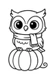 Cozy Owl on the Harvest Pumpkin